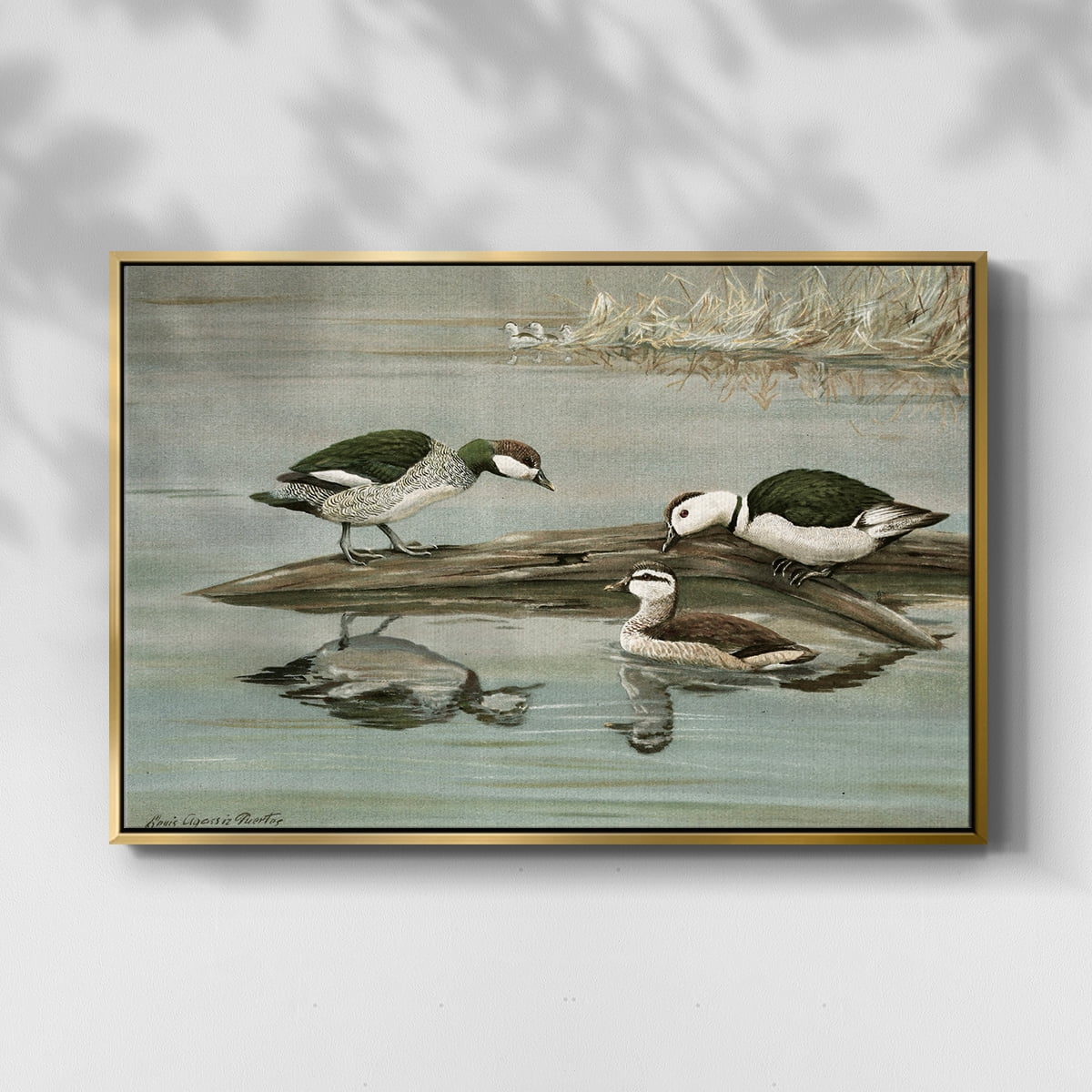 Vintage Animal Print-XIX By Wexford Home Framed in Gold Wood Gallery Wrapped Canvas 27 in. x 41 in.