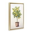 thumbnail image 3 of Stupell Industries Citrus Tree Serenade Gold Framed Floater Canvas Wall Art design by Andrea Haase, 25 x 17, 3 of 9