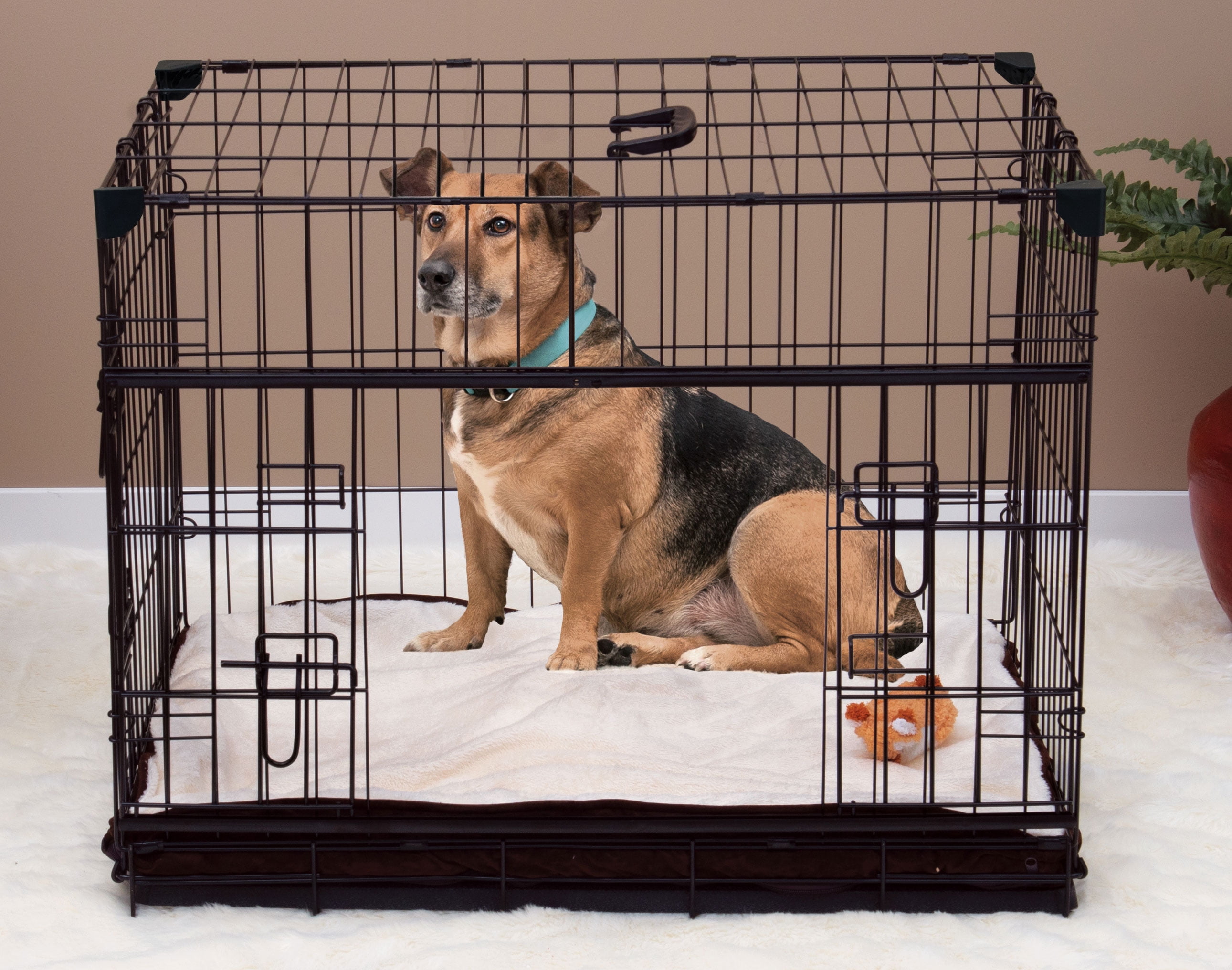 dog crate small breed