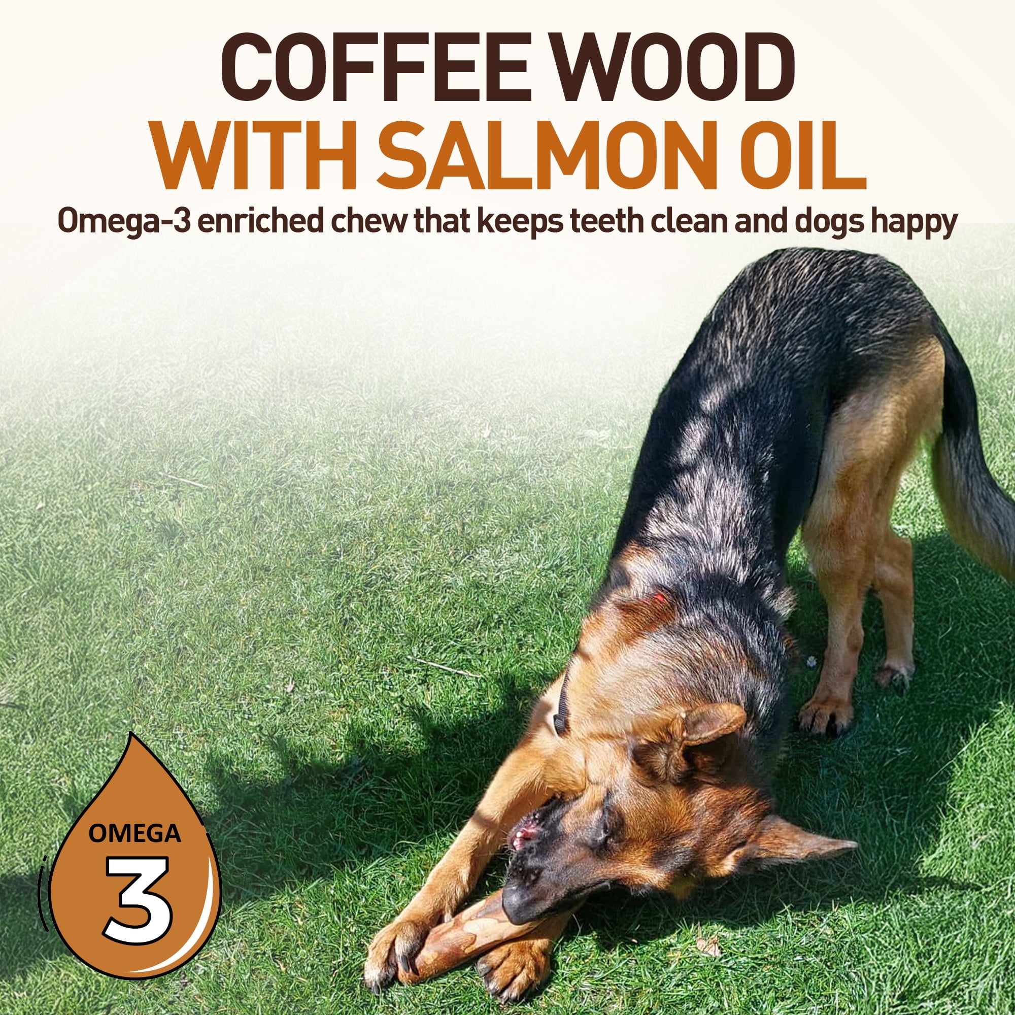 Wildfang® 3 Coffee Wood with Salmon Oil (Size S) Dog Chew Stick – Natural Salmon Oil Infused Wooden Chewing Stick for Dogs