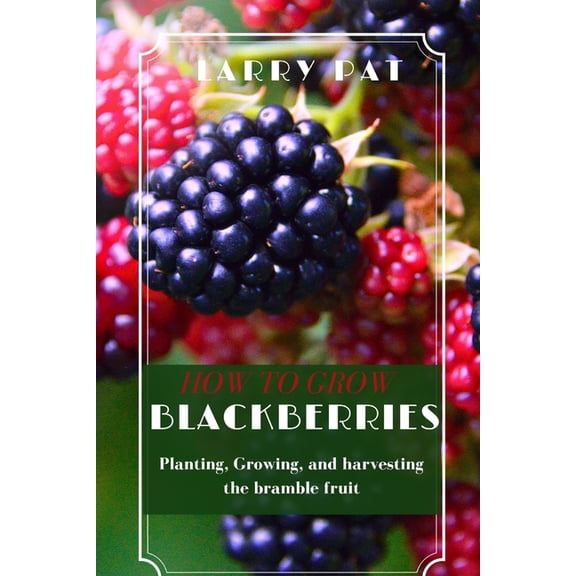 How to Grow Blackberries: Planting, Growing, and harvesting the bramble fruit, (Paperback)