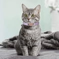 thumbnail image 5 of Miaocao 4 Pcs Rhinestone Cat Collar Heart Bling Breakaway Girl Cat Soft Velvet Fancy Adjustable Safety Kitten Collar with Bell 8-11 Inch for Small Dogs and Kitty(Red, Black), 5 of 7