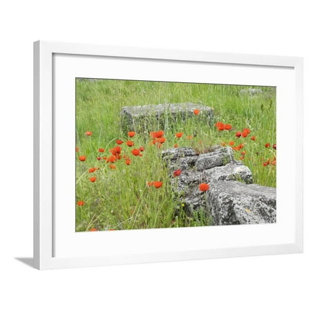 South of France, St. Remy, Glanum, Fortified Roman Town in Provence Framed Print Wall Art By Emily