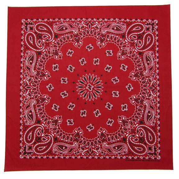 Bandanna Co Paisley, Red, 22" x 22" (4th)