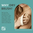 thumbnail image 5 of M3 Firm Dry Brush & Shower Brush for Body | Body Brush Exfoliator & Dead Skin Remover, 5 of 9