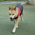 thumbnail image 4 of Frogued Winter Pet Dog Puppy Clothes Zipper Vest T-shirt Apparel Buckle Casual Coat (Pink,XXXL), 4 of 13