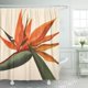 thumbnail image 1 of Cortina de Ducha ABPHQTO con Pintura Digital Flores Ave del Paraíso Naranja 160x180 cm, 1 of 1