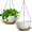 White With Brown, variant on 13 Inch 2 Pack Large Self Watering Hanging Planters for Indoor Outdoor Plants, Hanging Plant Pots with Removable 50 Oz Reservoir, Plastic Hanging Basket for Window Porch Garden, Black with Brown