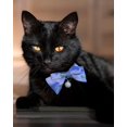 thumbnail image 3 of Ribbon Bow Tie Cat Collar with Bell, Breakaway Cat Collar for Boy Cats and Girl Cats, Adjustable 7.87"-11.78" for Kittens, 3 of 3
