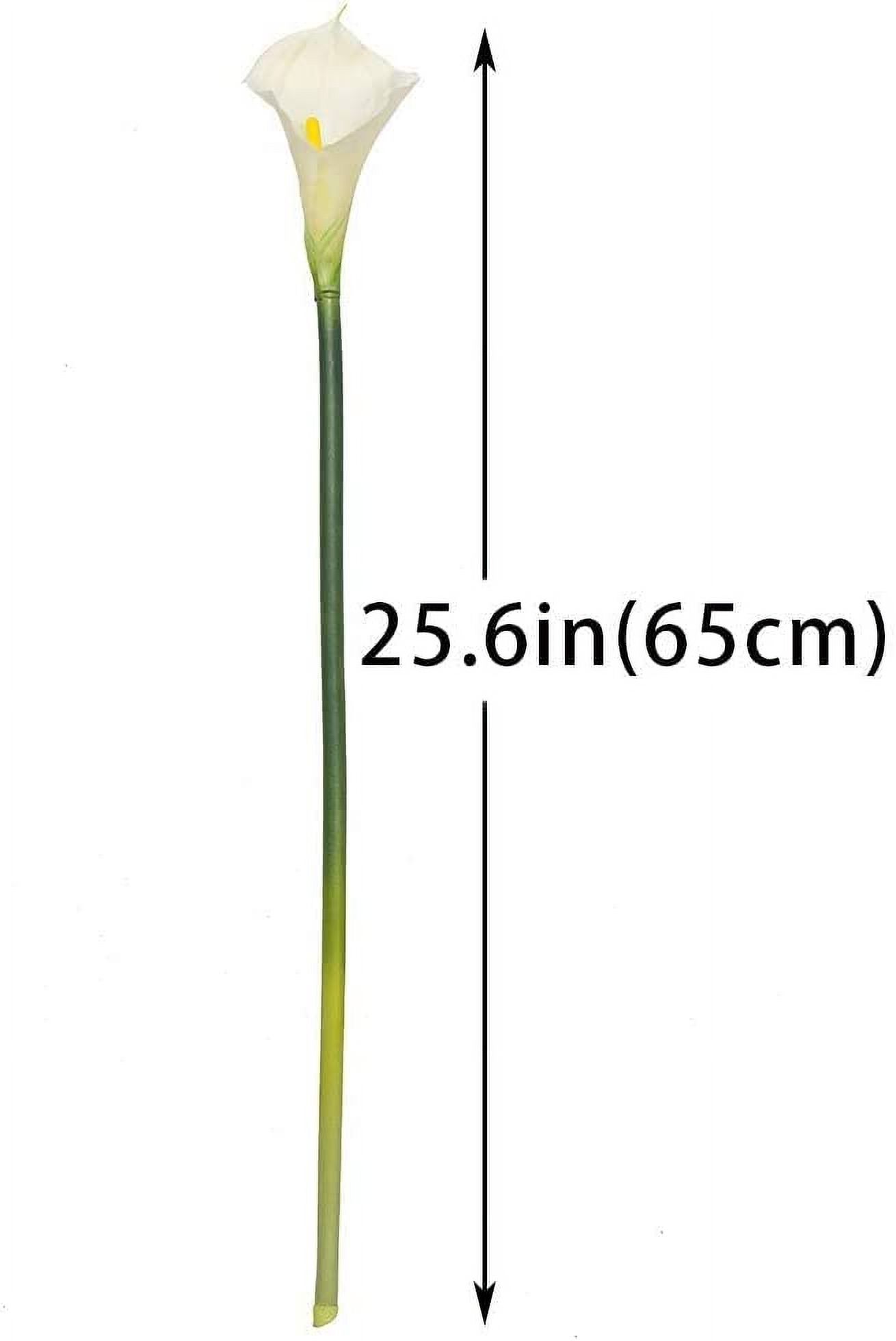 Artificial Flowers Calla Lilly 25.6'' Large Latex Fake Bouquet Soft Real Touch Long Stem Plants 5 Pcs for Home,Living Room,Bedroom,Dining Table,Office,Weddings Party Garden Decor(White)