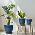thumbnail image 4 of Modern Pots for Plants - 10/8/6 inch with Drainage Hole, Round Ceramic Planter Set for Succulents & Flowers Decorative Home Accent Matte Blue, 4 of 8