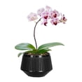 thumbnail image 2 of Flower pot root control breathable double layer flower pot plastic resin pot, 2 of 10
