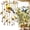 Style D gem hummingbirds wind chimes, variant on Graceful Hummingbird Wind Chime - Graceful Bird Wind Chime Crystal Suncatcher Hanging Decor (Style A)