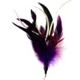 thumbnail image 3 of Pack de Plumes de Remplacement Multi-Pièces Plus Bonus Queue Douce pour Jouet Interactif pour Chat et Chaton, 3 of 7