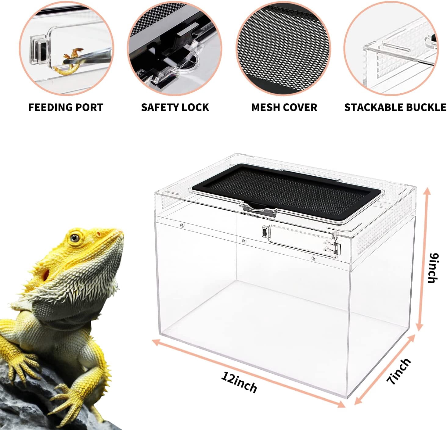 Mini Reptile Terrarium 12"x7"x8.6" Full View Reptile Tank For Insect Fish Tarantula Hermit Crab Iguana Tortoise Gecko Frog Bearded Dragon