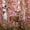 Brown Pink, variant on Castle Fairy Teens Western Patchwork Camo Deer King Size Comforter Sets 3pcs,Plaid Tribal Arrow Comforters King Size,Pink Brown Gray,Pink Reversible,1 Comforter and 2 Pillowcases