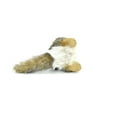 thumbnail image 6 of Groundhog Marmot Soft Stuffed Realistic Plush Animal, Gift, Educational Toy 10" F1968 B323, 6 of 10
