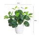 thumbnail image 2 of Plantas de simulación de interior, pequeñas plantas en maceta, plantas falsas decorativas, adornos de escritorio, 2 of 4
