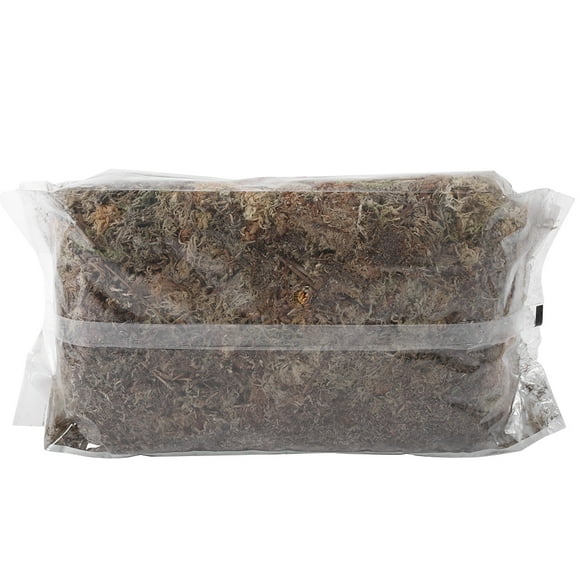 Qiilu 6 L Mousse de Sphaigne de Jardin Hydratante Nutrition Engrais Organique pour Orchidée Phalaenopsis, Mousse d'Engrais, Mousse de Sphaigne