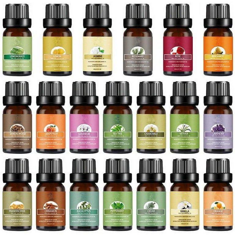 LagunaMoon 6-Pack w Gift Box | Essential Oils Set, 10mL, Peppermint, Tea  Tree, Lavender, Eucalyptus, Lemongrass, Orange