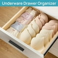 thumbnail image 6 of 8 Pack Shallow Drawer Dividers,Adjustable Expandable Kitchen Drawer Organizer, Clear Plastic Organizer Separators for Flatware, Utensil, Cutlery, Underwear, Clothes, 6 of 8
