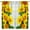 Style-13, variant on Sunflower Curtains, Farmhouse Vintage Wood Panel Western Cowboy Sunflower Floral Prints Blackout Rod Pocket Window Treatments Drapes for Kitchen Bedroom Living Room42x54in