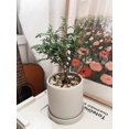 thumbnail image 2 of Yi Lighting 6.7" Indoor Outdoor Modern Nordic Ceramic Flower Pot Planter with Drainage Hole & Tray, 2 of 4