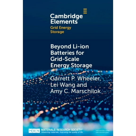 Elements in Grid Energy Storage Beyond Li-ion Batteries for Grid-Scale Energy Storage, (Paperback)