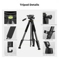 thumbnail image 3 of K&F CONCEPT 75" Lightweight Camera Tripod, Portable Travel Outdoor DSLR Tripods with Remote and Phone Holder, Cellphone Clip for Smartphone Live Streaming Vlog, Black, 3 of 9