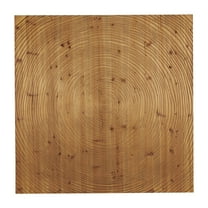 DecMode Brown Wood Handmade Spiral Geometric Wall Decor