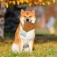 thumbnail image 2 of Chicken Leg Dog Toy Interactive Plush Dog Toy Chicken Leg Design Built-in Sound Bite Resistant Teeth Grinding Relieve, 2 of 5