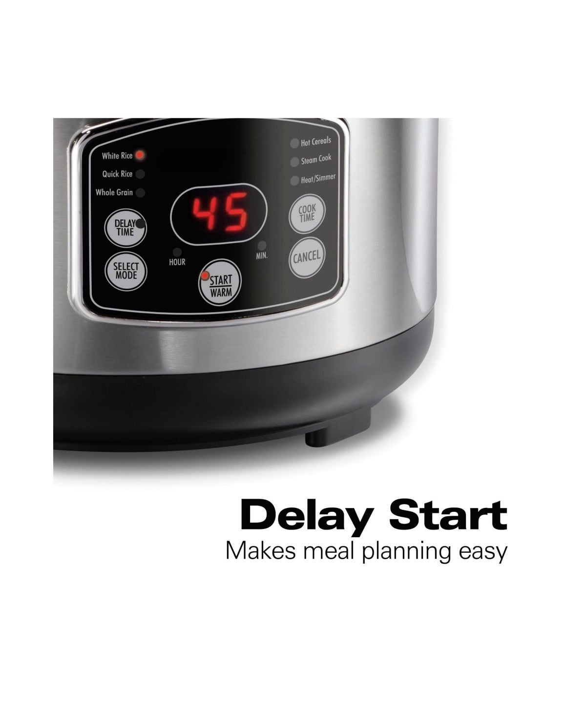 Rice & Hot Cereal Cooker, 2-in-1 Steam/Rinse Basket, Delay Start & Auto Keep-Warm, Nonstick Pot