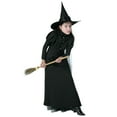 thumbnail image 1 of Deluxe Child Witch Costume, 1 of 3