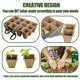 thumbnail image 4 of Plantador de plántulas reutilizables con tapas de cúpula Lámina de ventilación de ventilación ajustable al aire libre Bandeja de planta de plantas de invernadero pequeño suministros de jardinería seitruly HA011749-00B, 4 of 7