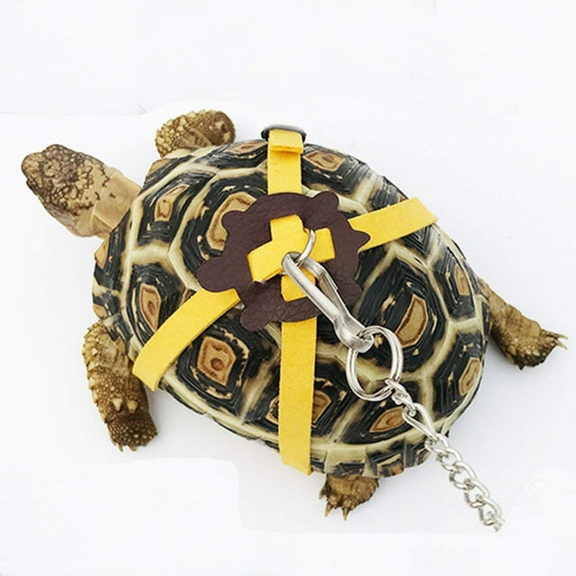 Correa De Arnés De Tortuga, Control Ajustable Sobre La Cabeza, Correa De Cuerpo De Lagarto Para Reptiles De Tortuga Y Razas Pequeñas