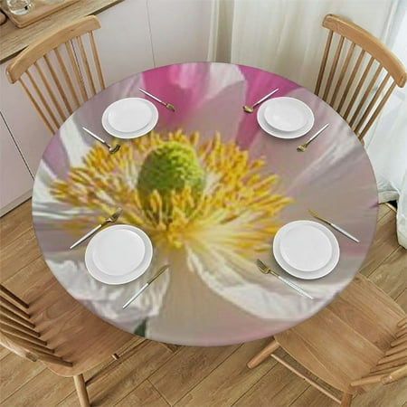 

Autua Floral Garden Blue Sky Round Tablecloth Waterproof Washable 54 -58