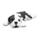 thumbnail image 1 of Figura de juguete de bulldog, modelo de perro, estatua de animal, resina, miniatura, accesorio de enseñanza Abajo Blanco Negro, 1 of 9