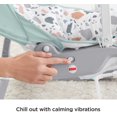 thumbnail image 2 of Fisher-Price Deluxe Infant-to-Toddler Rocker, 2 of 6