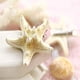 thumbnail image 2 of Paquete de pinzas para el cabello de estrella de mar, pinzas para el cabello de estrella de mar de playa de resina, pinzas para el cabello de sirena, accesorios para mujeres y niñas Ormromra CDWJ389, 2 of 3