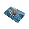 thumbnail image 2 of MKHERT Wildlife Brown Bear Hunting Fish on Alaska Doormat Rug Home Decor Floor Mat Bath Mat 23.6x15.7 inch, 2 of 3