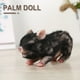 thumbnail image 1 of Muyoka Pig Doll Mini realista Siline Black Piglet BPA-free Cute Siline Animals Fake Piglet Reborn para niños adultos regalo Muyoka Hogar, 1 of 7