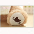 thumbnail image 3 of Baby Gund Peek A Boo Bear With Blanket Interactive Toy Stuffed Animal, new, 3 of 3