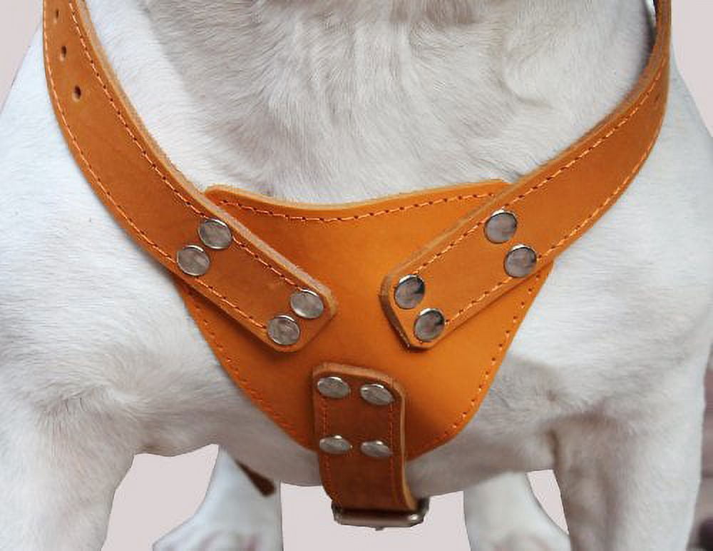 Tan Genuine Leather Dog Harness, Large to XLarge. 35"-39" Chest, 1.5" Wide Straps, Great Dane Cane Corso