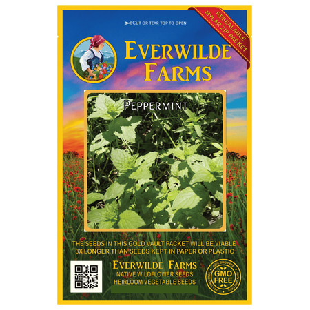 Everwilde Farms - 2000 Peppermint Herb Seeds - Gold Vault Jumbo Bulk Seed (Best Way To Germinate Herb Seeds)