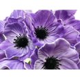 thumbnail image 3 of Zukuco 16 Stems Artificial Poppies Real Touch PU Fake Latex Flowers for Wedding Holiday Bridal Bouquet Home Party Decor (Purple), 3 of 5