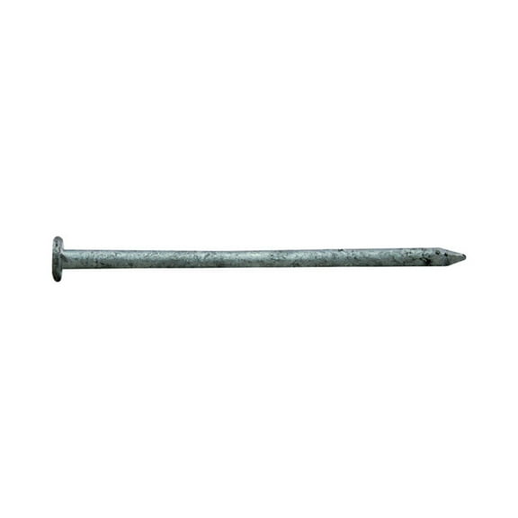Pro-Fit 4 in. Common Hot-Dipped Galvanized Steel Nail Flat Head 1 lb