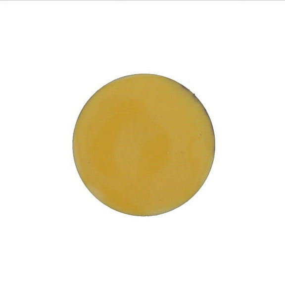 1240 Pine Yellow Thompson Opaque Enamel 1 Ounce