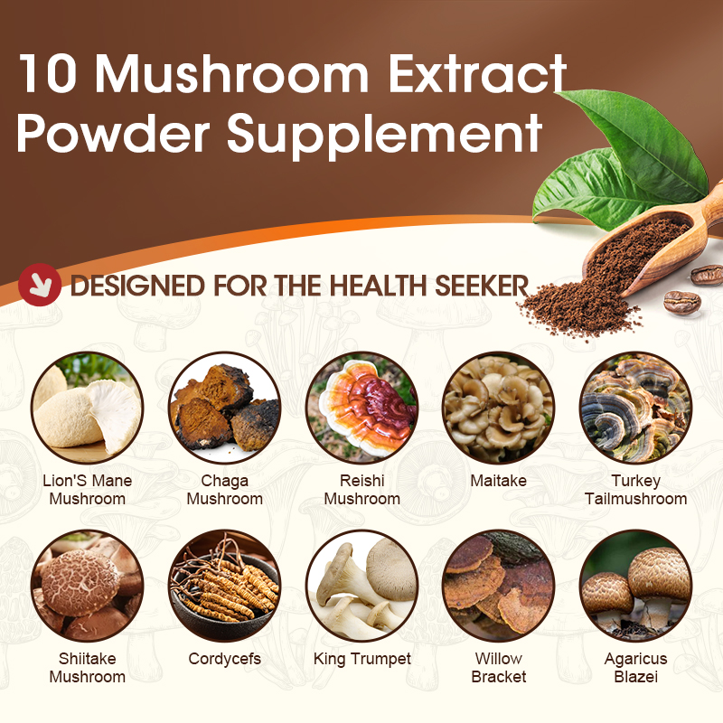 Mushroom Coffee Powder,Organic Instant Coffee Mushroom Supplement Powder, Mushroom Coffee Blend Complex for Focus & Memory,Brain, 8.8Oz(250g)
