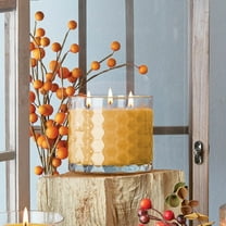 ROOT Candles 12 oz 3-Wick Signature Honeycomb filled Jar. Scent: Bourbon Pear