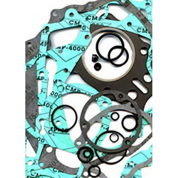 Complete Gasket Kit Compatible with/Replacement for Arctic Cat